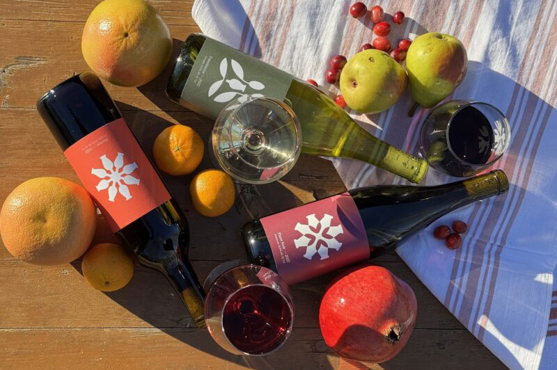 IMG_0519-800×600 style