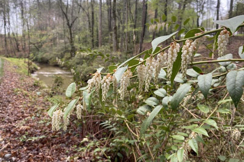 IMG_7091-800×600 style