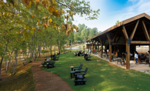 Wine Tasting Wine Club