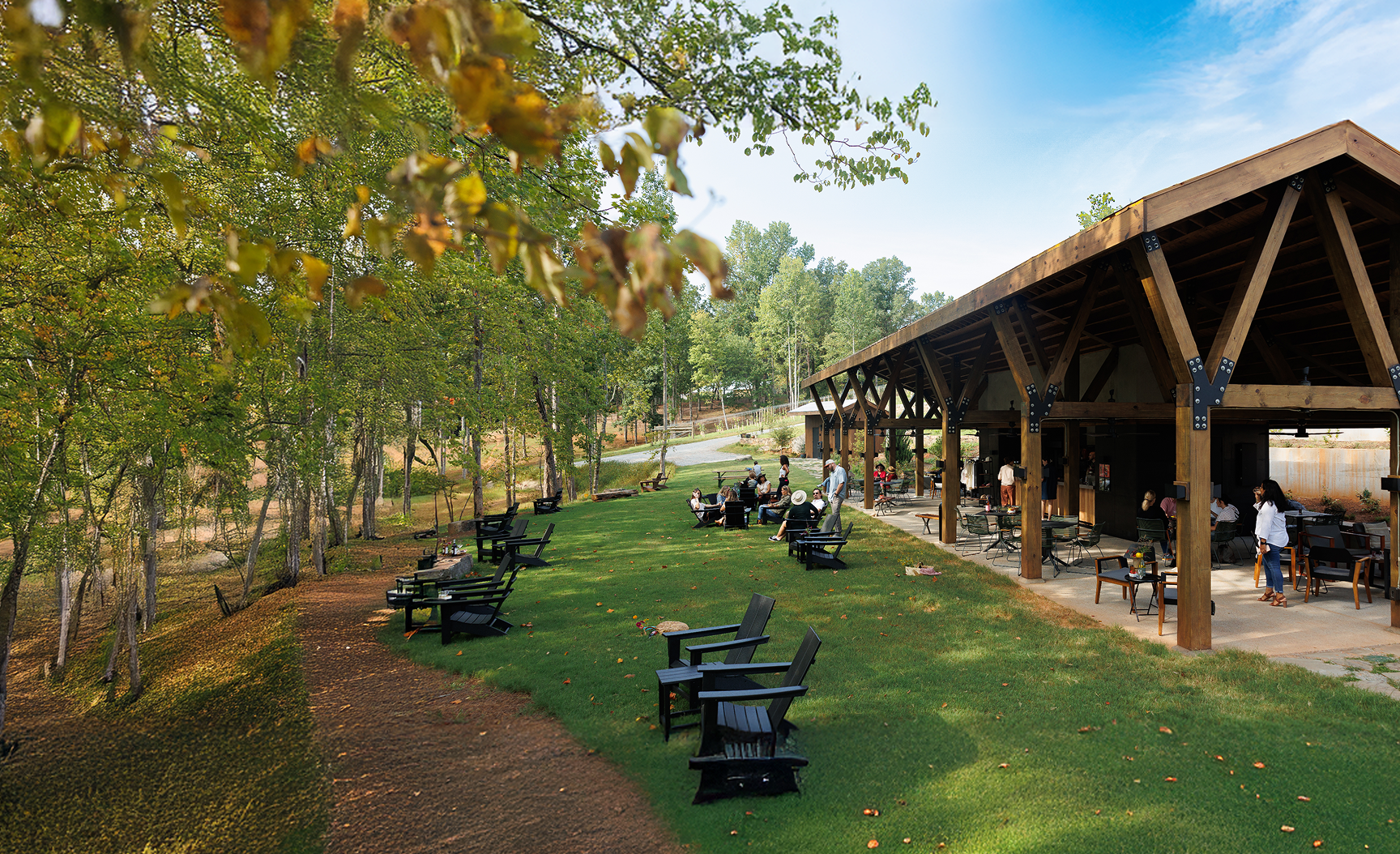 Wine Tasting Wine Club